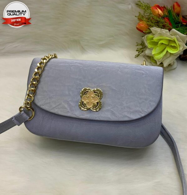 Elegant Mini Crossbody Bag with Gold Chain Strap and Designer Clasp