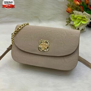 Elegant Mini Crossbody Bag with Gold Chain Strap and Designer Clasp