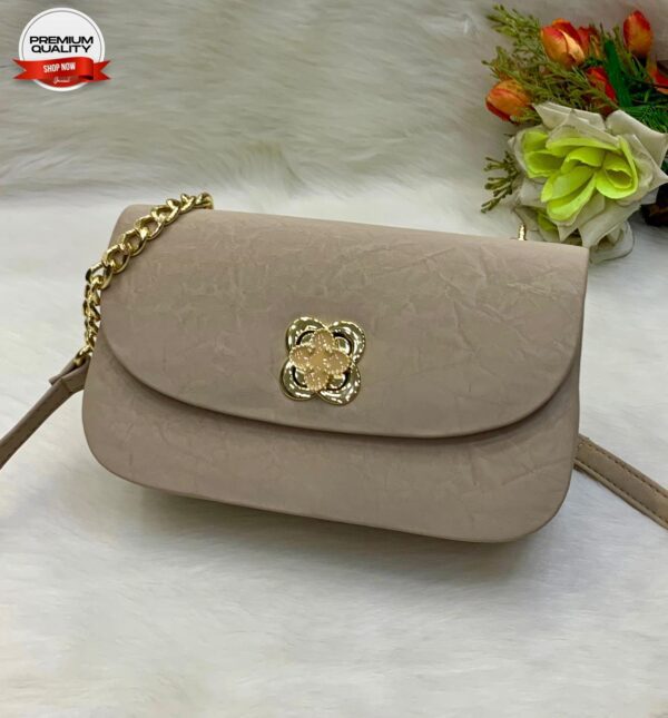 Elegant Mini Crossbody Bag with Gold Chain Strap and Designer Clasp