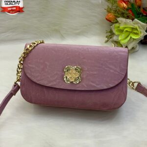 Elegant Mini Crossbody Bag with Gold Chain Strap and Designer Clasp